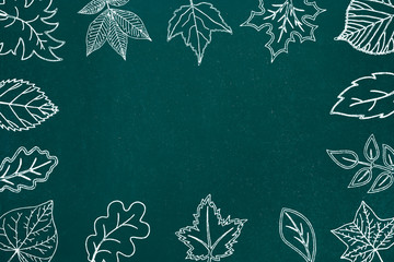 Leaves sketch on chalkboard background
