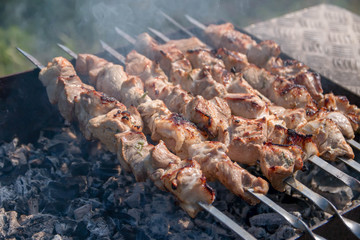 Hot meat kebab with smoke, grill, cook