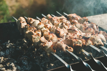 Barbecue meat on skewers on grill, steak