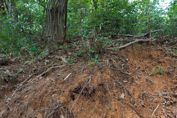 大雨による斜面のがけ崩れ