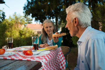 Mature couple heaving a great time on a picnic
