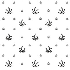 Vector seamless marijuana pattern.  Black leaves on white background. 