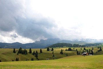 the Alpe di Siusi, the largest high floor in Europe in Trentino-Alto Adige, Italy