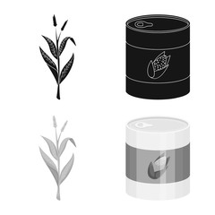 Vector illustration of cornfield and vegetable logo. Collection of cornfield and vegetarian stock symbol for web.