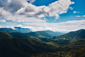 Obraz premium Mountain and forest with cloudy sky in Phetchabun, Thailand.