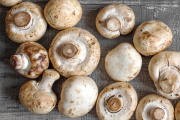 mushrooms champignon on dark wood desk