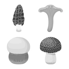 Vector illustration of organic and nature icon. Set of organic and summer stock vector illustration.