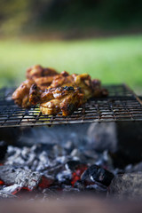 Chicken drumsticks are grilled on fire during camping.