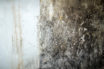 Wall with old woodchip wallpaper and mold