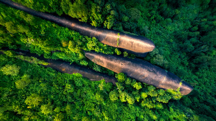 Three whale stones. Bird eye view shot of three whales rock in Phu Sing Country park in Bungkarn, Thailand. © Thirawatana