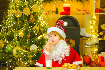 Santa Claus holding Christmas cookies and milk against Christmas tree background. Cookies for kids Santa Claus. Kid Santa Claus enjoying in served gingerbread cake and milk.
