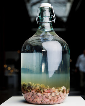 Chinese mouse wine. 