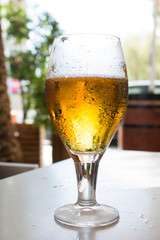 A cup of beer in a bar