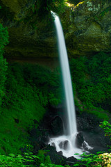 Fototapeta na wymiar Oregon Falls