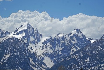 Plakat alps in winter