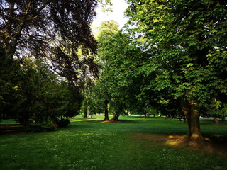 Grüner Rasen mit alten Bäumen im Sommer gegen Abend im Günthersburgpark im Nordend von Frankfurt...