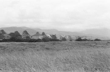 Row of beach houses on the coast