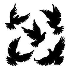 Set of dove silhouettes. Vector illustration. Flying birds.