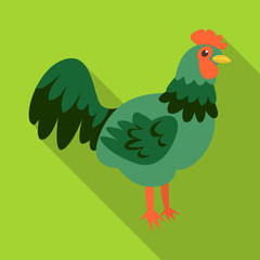 Isolated object of cock and bird symbol. Set of cock and feather vector icon for stock.