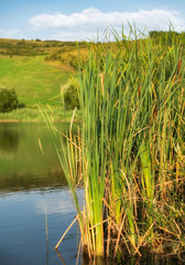 Fototapeta na wymiar Small blue,green pond summertime 