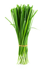 Garlic chives isolated on white background