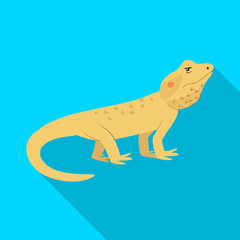 Vector illustration of lizard and agama sign. Set of lizard and creature stock vector illustration.