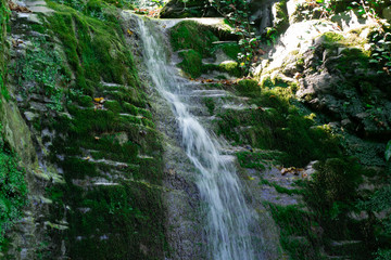 Fototapeta premium Waterfall from ravine.waterfall from the mountain river. rapid current