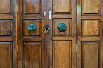 An antique metal handle with a lion on an old brown wooden door