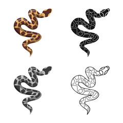 Fototapeta premium Isolated object of serpent and venomous icon. Graphic of serpent and skin vector icon for stock.