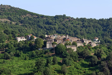 Fototapeta na wymiar Chestnut forests and Talasani village in Corsica mountainniccia forest