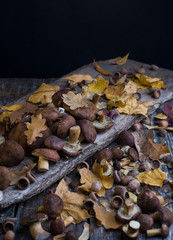 Wild mushrooms on a wooden board on a black background.