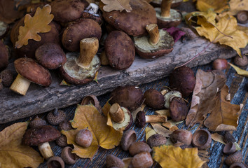 Wild mushrooms with yellow dry leaves on a wooden board.