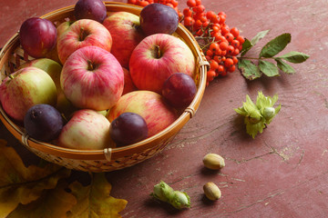 Early red apples and plums in a wooden basket, rowan clusters, nuts, yellow leaves, side view