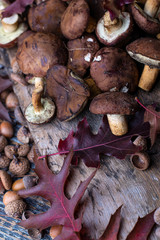 Oak leaf and wild mashroom on a wooden background.