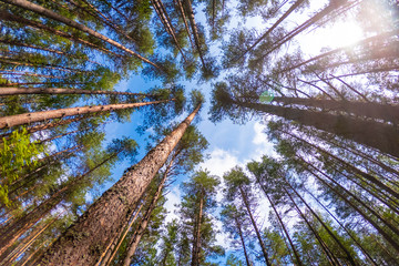 C:\DCIM\100GOPRO\GOPR0232.GPR