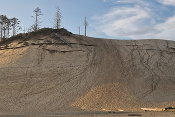 facing the hill before the challenge 