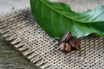 Leaves, berries and beans of coffee on textile background. Macro. Horizontal