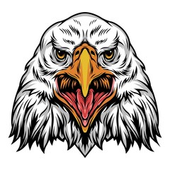 Colorful angry eagle head template