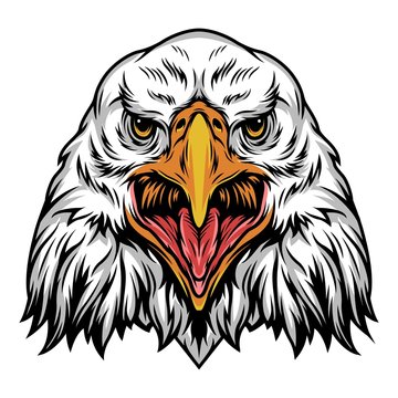 Colorful angry eagle head template