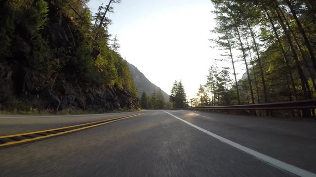 Sun Shines Brightly Through Trees Along Road