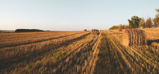 Panoramic view of haystacks in field after harvesting