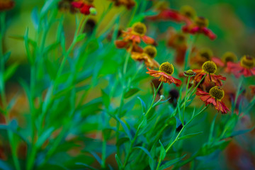 Herbst in Deutschland