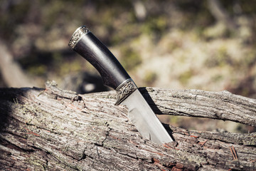 Long knife for hiking and traveling stuck in fallen tree in the forest.