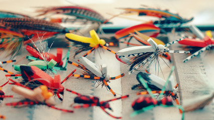 Fototapeta premium Dry flies for fly fishing.