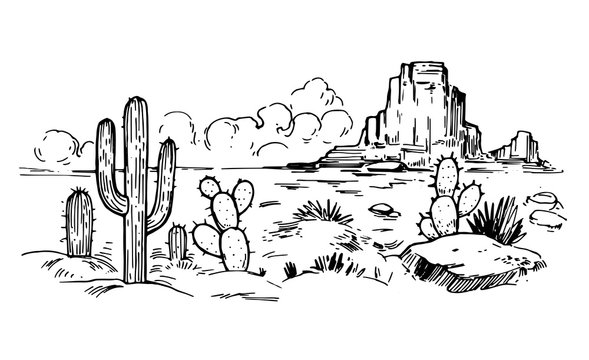 Desert Landscape Panorama Vector Illustration Line Sketch Stock  Illustration  Download Image Now  iStock