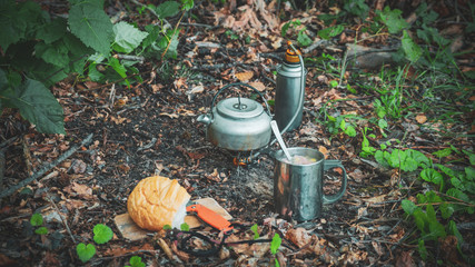 Bushcraft. Survival and life in the forest.