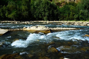 View of a mountain river with clear emerald water