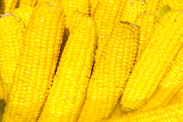 Yellow boiled corn close-up. Texture of corn seeds.