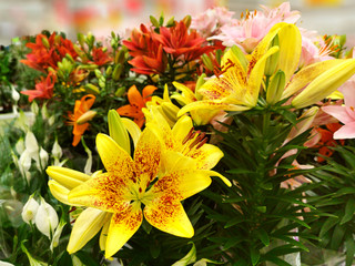 Bouquets of beautiful lilies