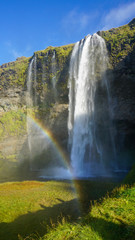 Seljalandsfoss huge waterfall in Iceland in sunny day with rainbow and blue sky in summer. - 290110508